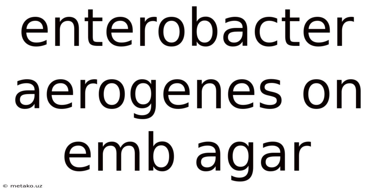 Enterobacter Aerogenes On Emb Agar