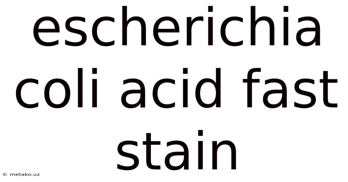 Escherichia Coli Acid Fast Stain