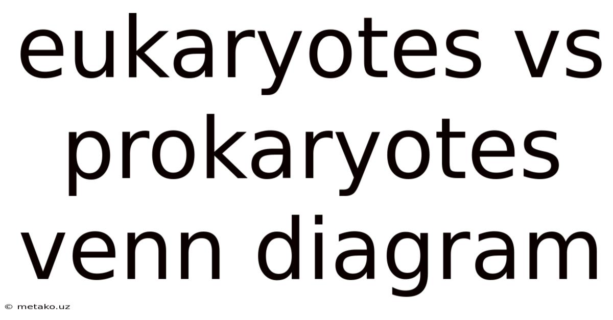 Eukaryotes Vs Prokaryotes Venn Diagram