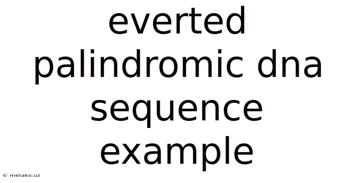 Everted Palindromic Dna Sequence Example