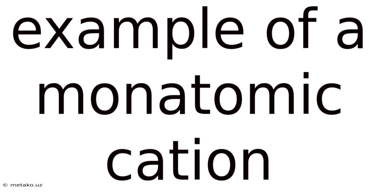Example Of A Monatomic Cation