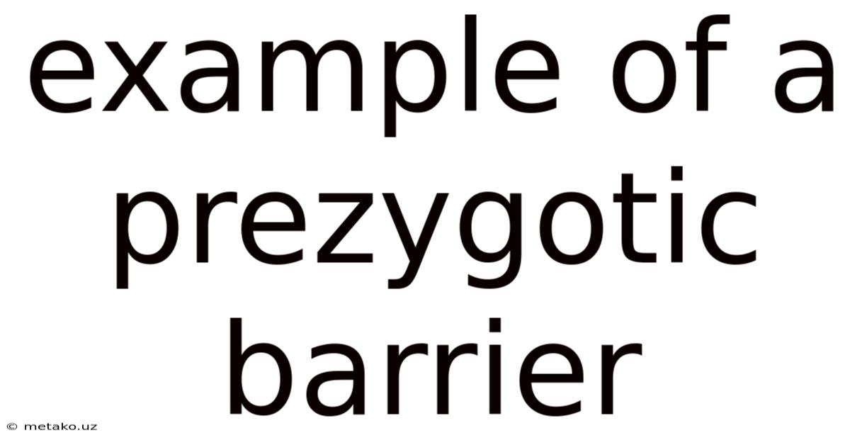 Example Of A Prezygotic Barrier