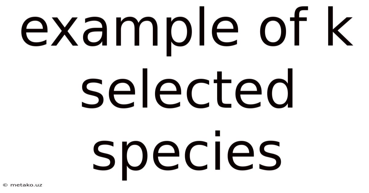 Example Of K Selected Species