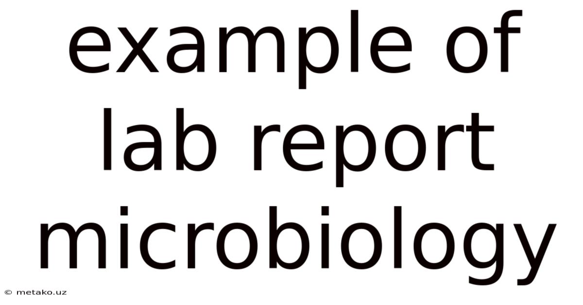 Example Of Lab Report Microbiology