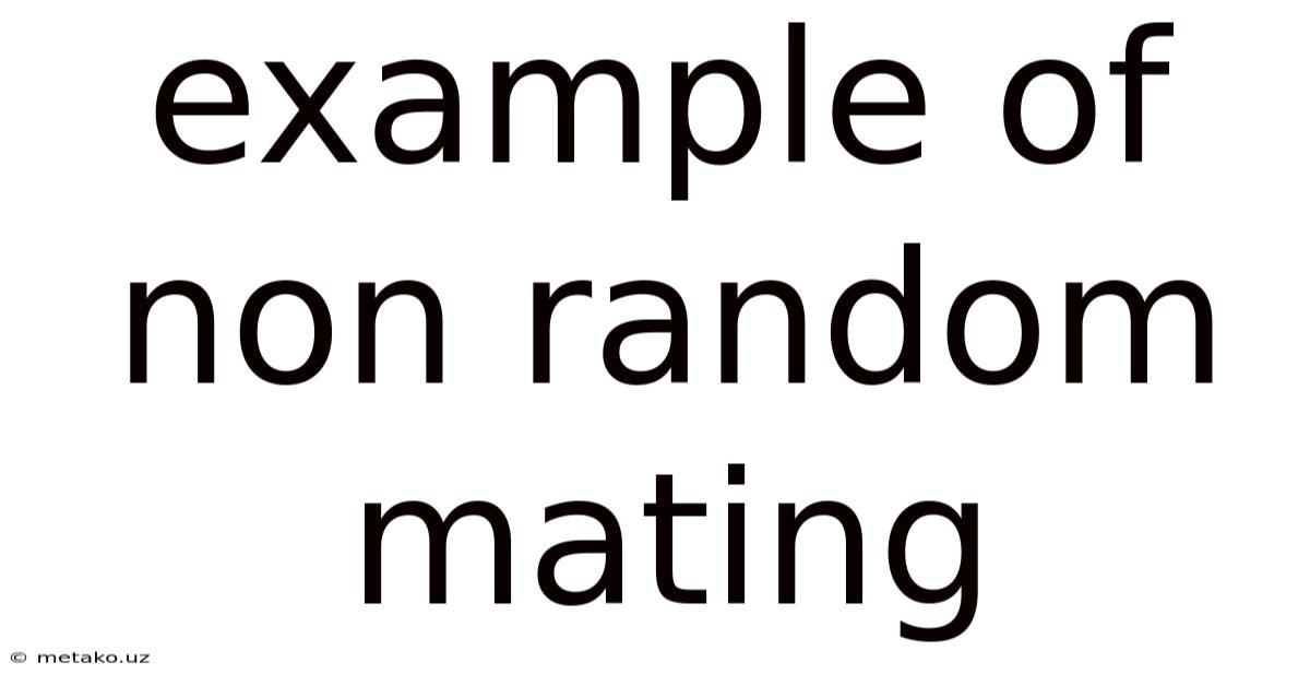 Example Of Non Random Mating