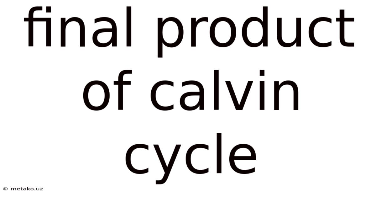 Final Product Of Calvin Cycle