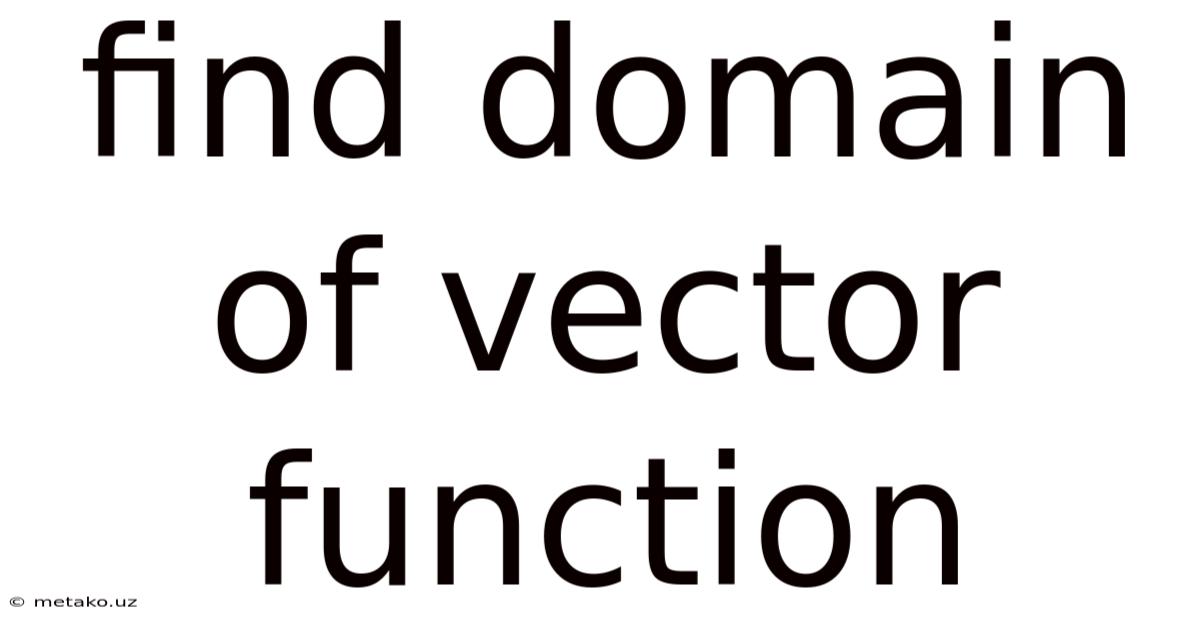 Find Domain Of Vector Function
