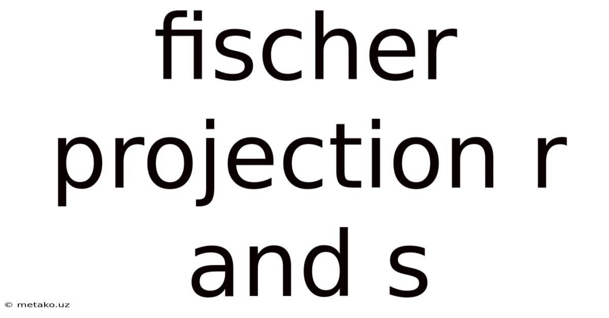Fischer Projection R And S