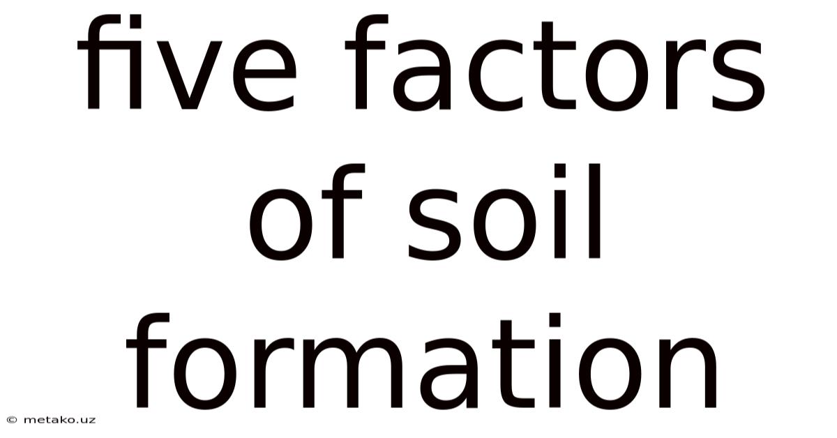 Five Factors Of Soil Formation