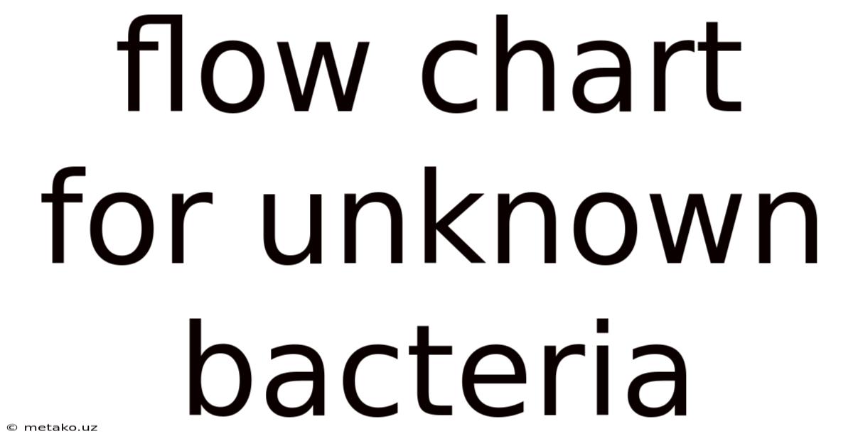Flow Chart For Unknown Bacteria
