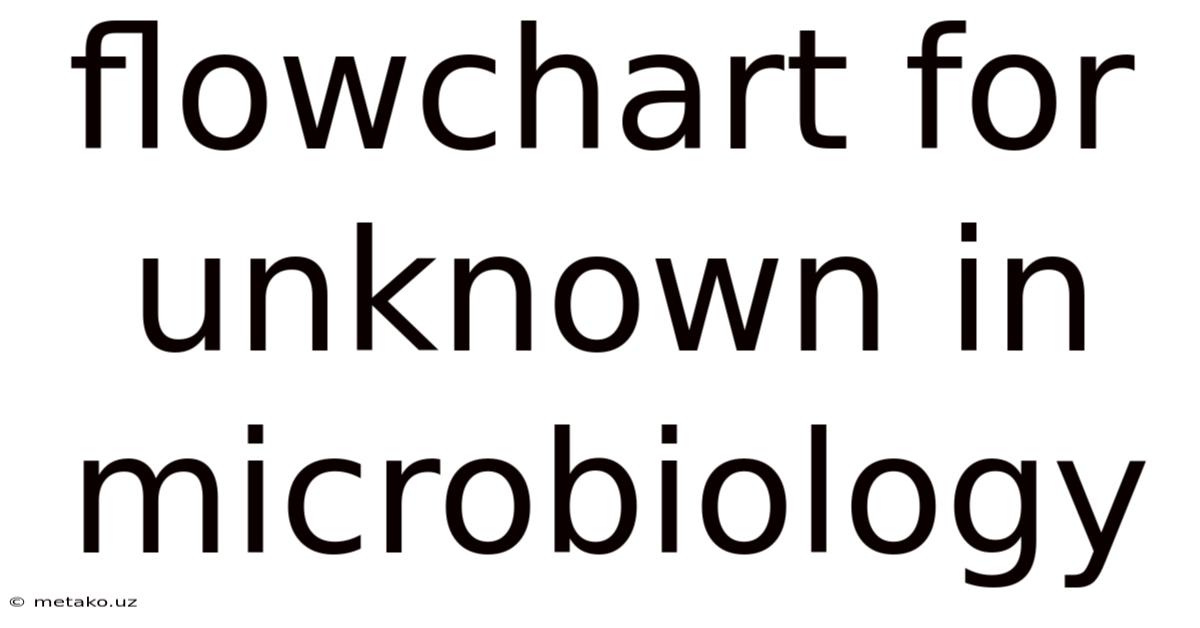 Flowchart For Unknown In Microbiology