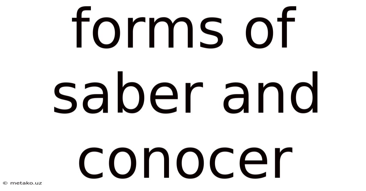 Forms Of Saber And Conocer