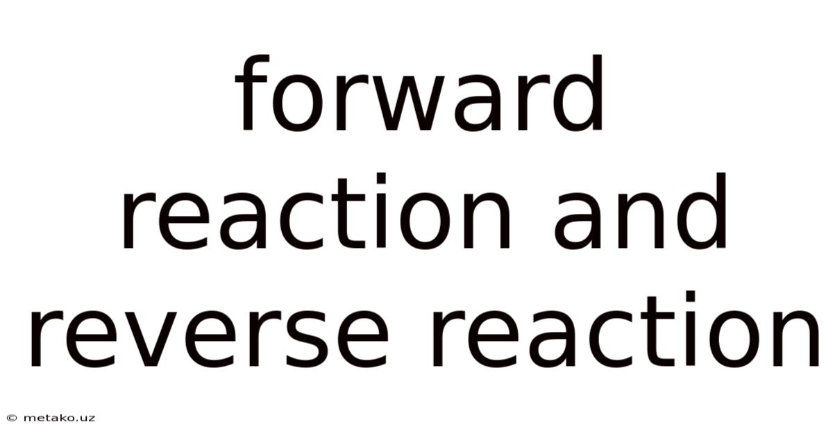 Forward Reaction And Reverse Reaction