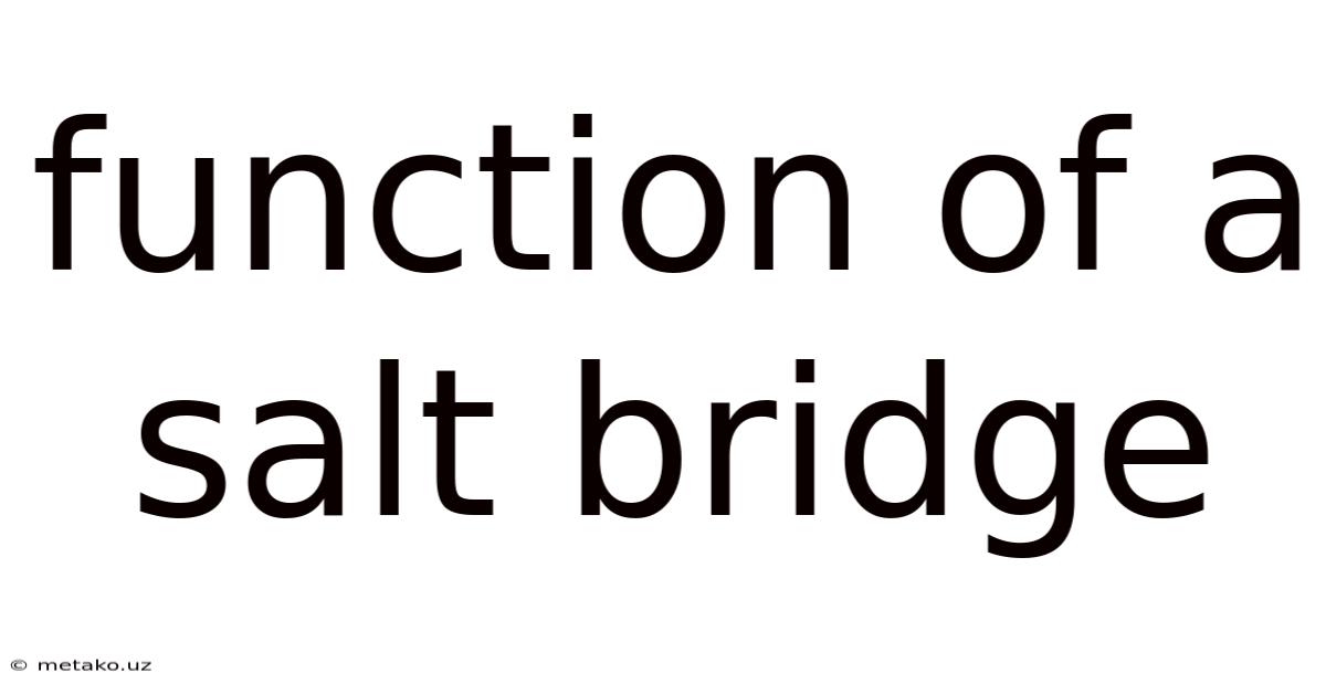 Function Of A Salt Bridge