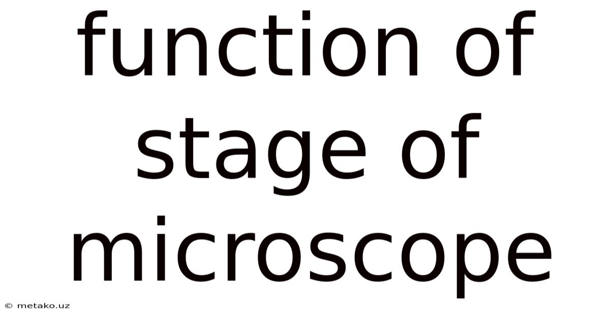 Function Of Stage Of Microscope