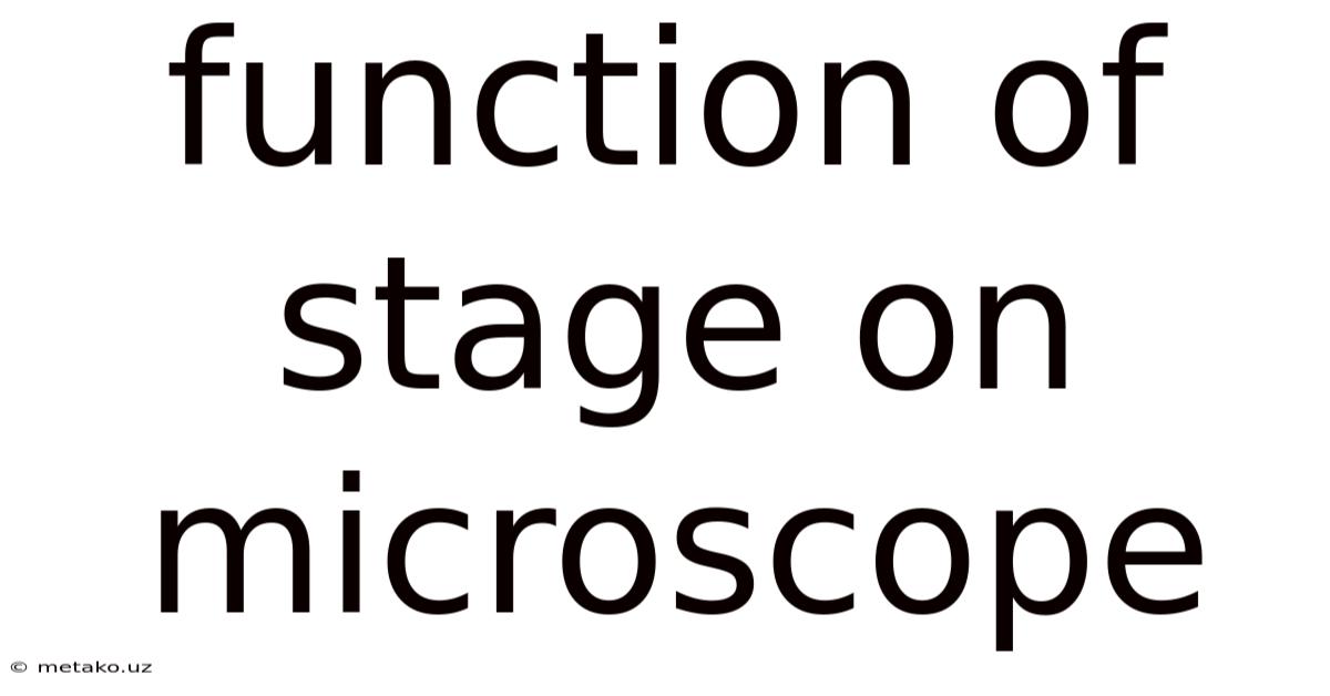 Function Of Stage On Microscope