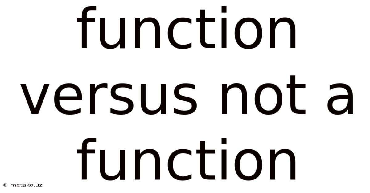 Function Versus Not A Function