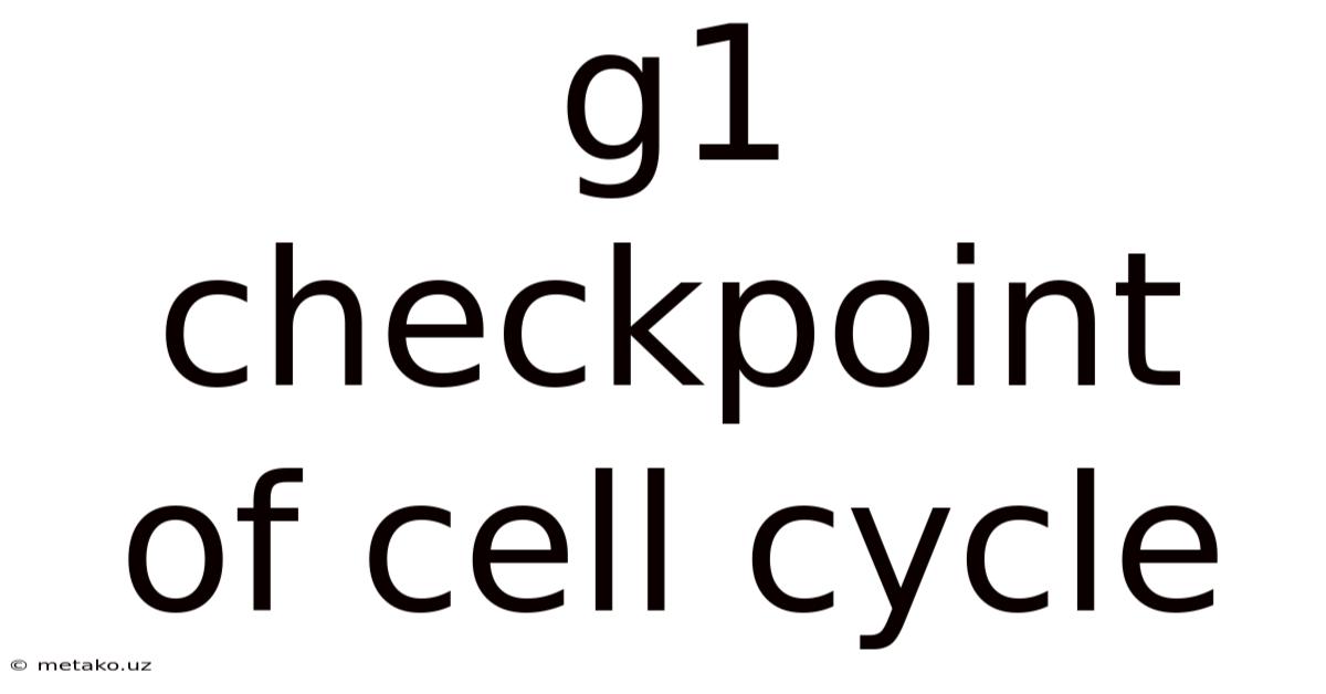 G1 Checkpoint Of Cell Cycle