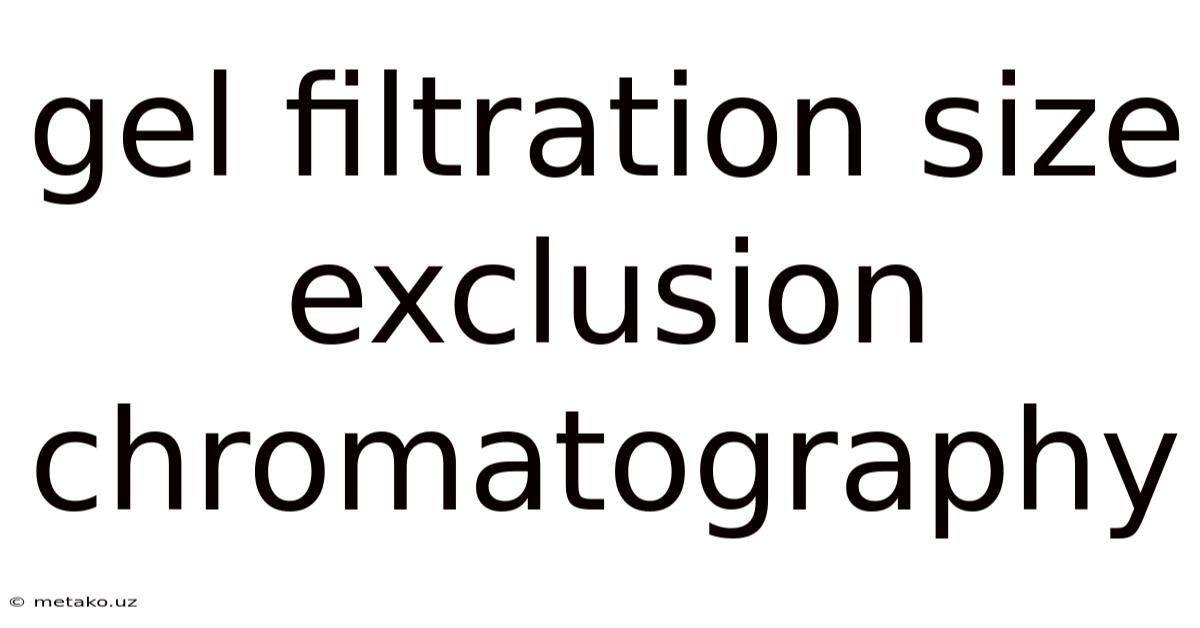 Gel Filtration Size Exclusion Chromatography