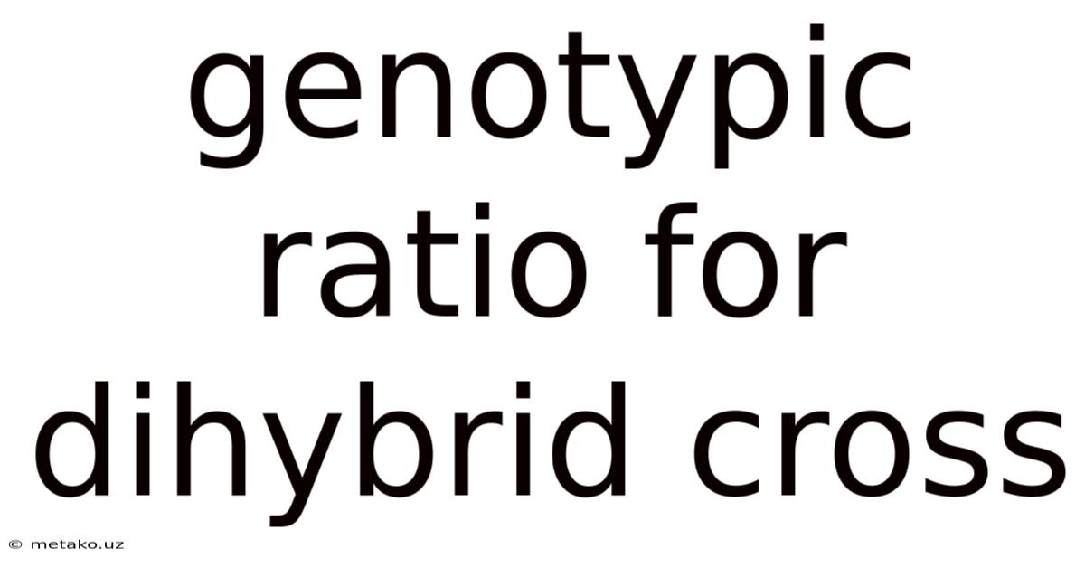 Genotypic Ratio For Dihybrid Cross
