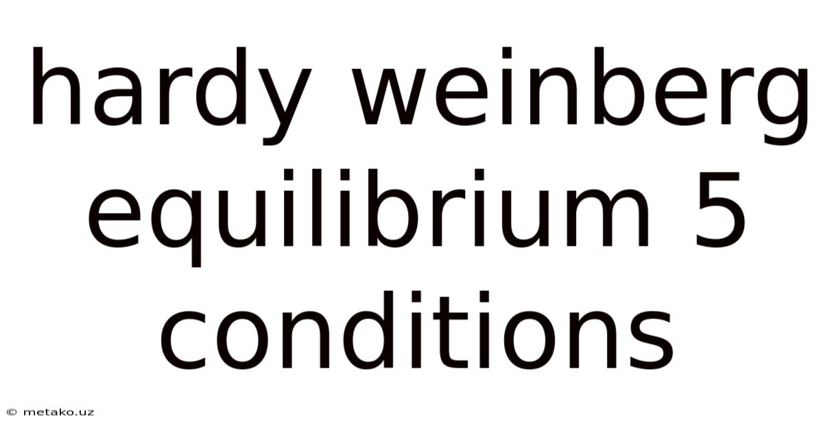Hardy Weinberg Equilibrium 5 Conditions