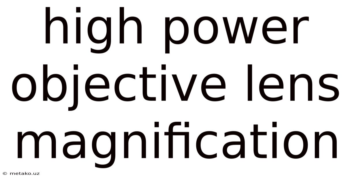 High Power Objective Lens Magnification