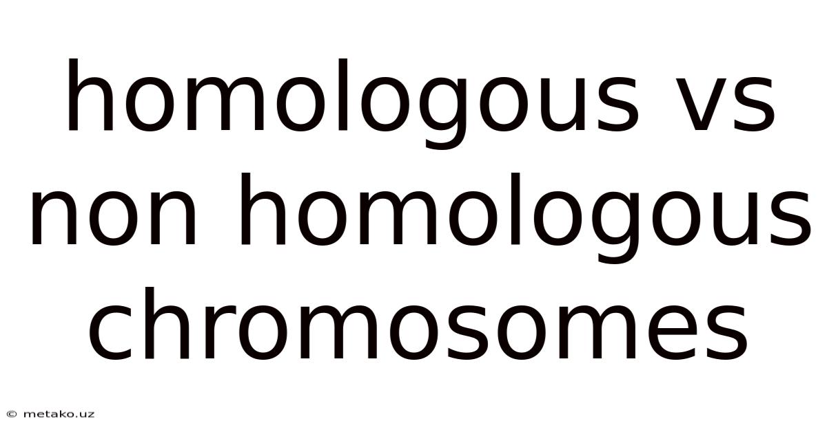 Homologous Vs Non Homologous Chromosomes