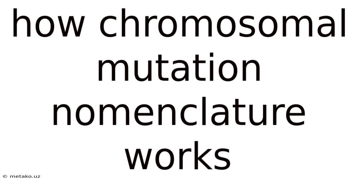 How Chromosomal Mutation Nomenclature Works
