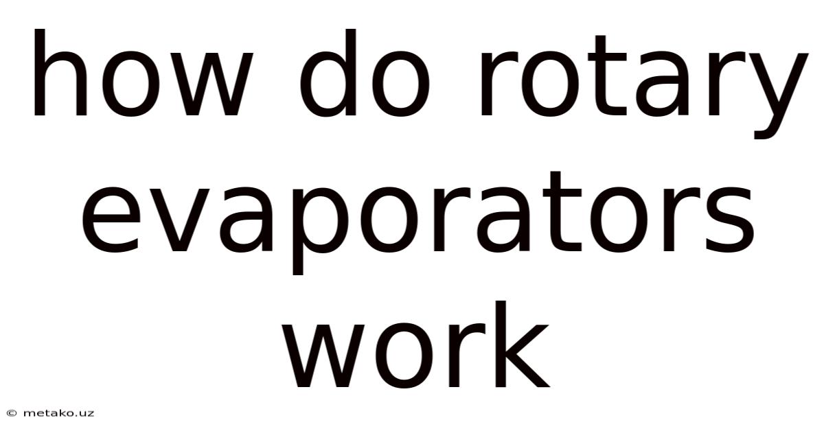 How Do Rotary Evaporators Work