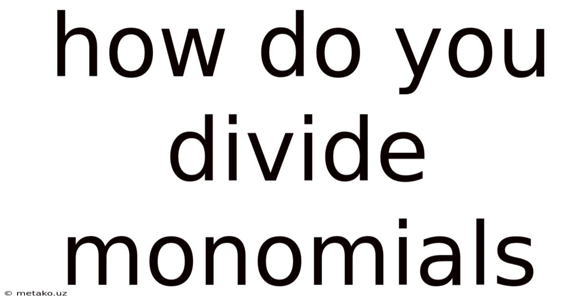 How Do You Divide Monomials