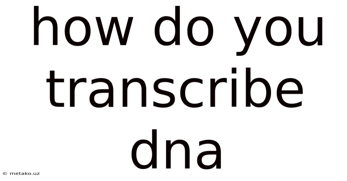 How Do You Transcribe Dna