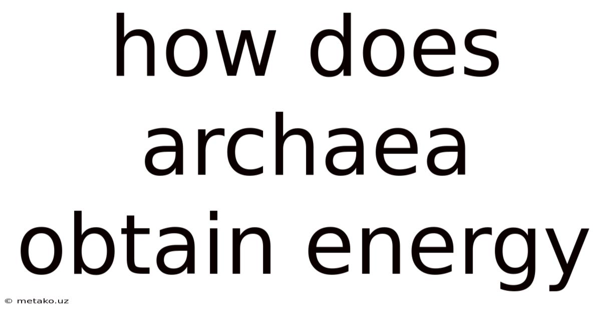 How Does Archaea Obtain Energy