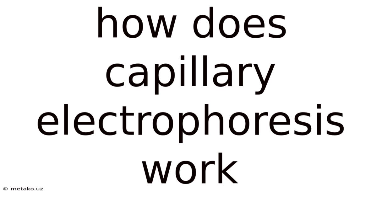 How Does Capillary Electrophoresis Work