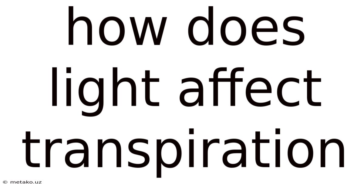How Does Light Affect Transpiration