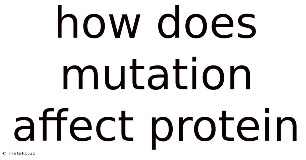 How Does Mutation Affect Protein