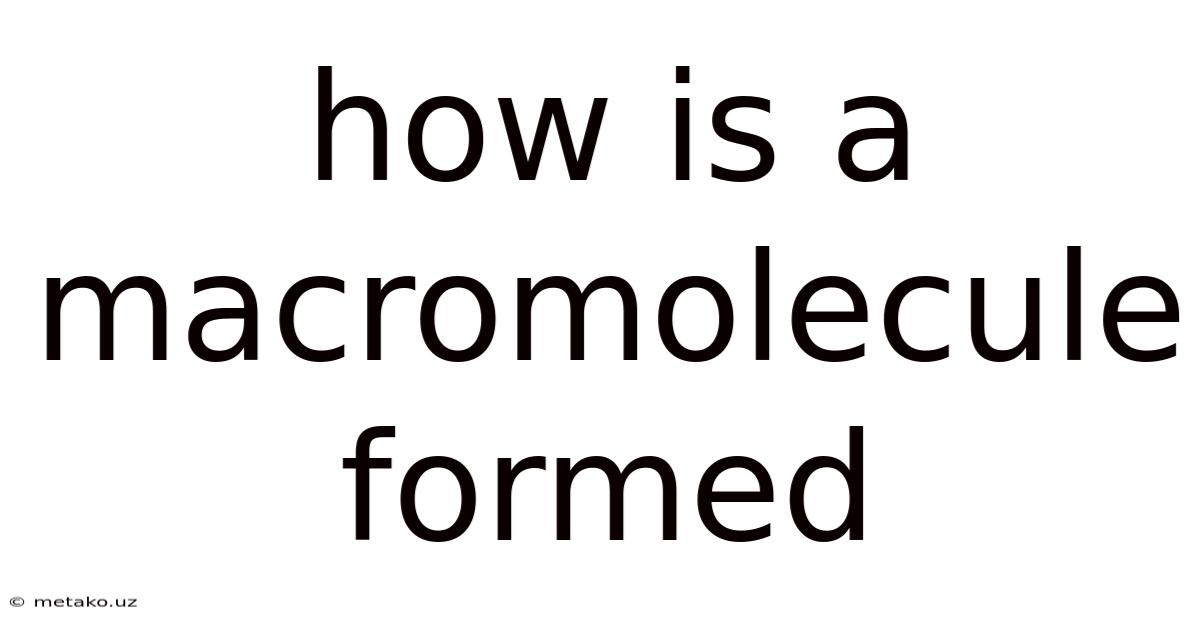 How Is A Macromolecule Formed