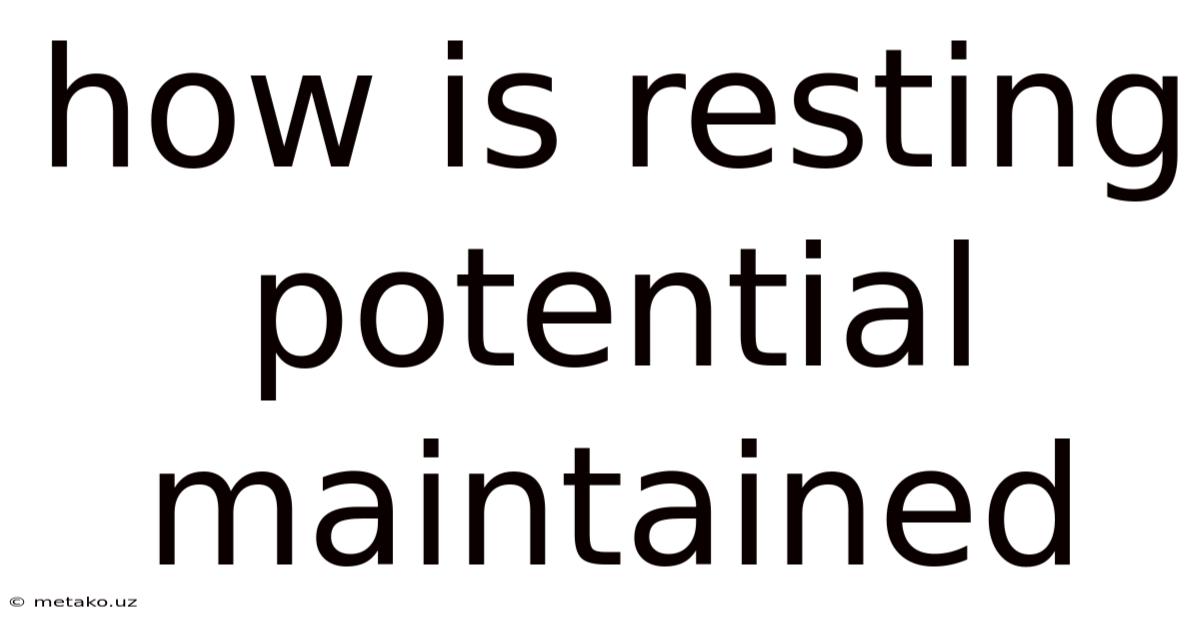 How Is Resting Potential Maintained