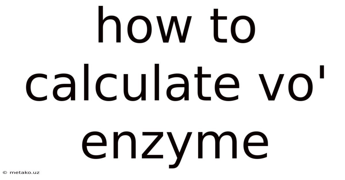 How To Calculate Vo' Enzyme