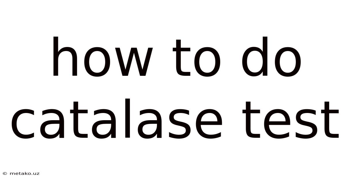 How To Do Catalase Test