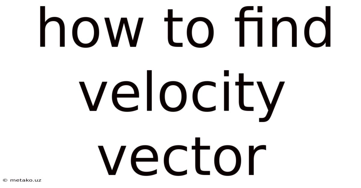 How To Find Velocity Vector
