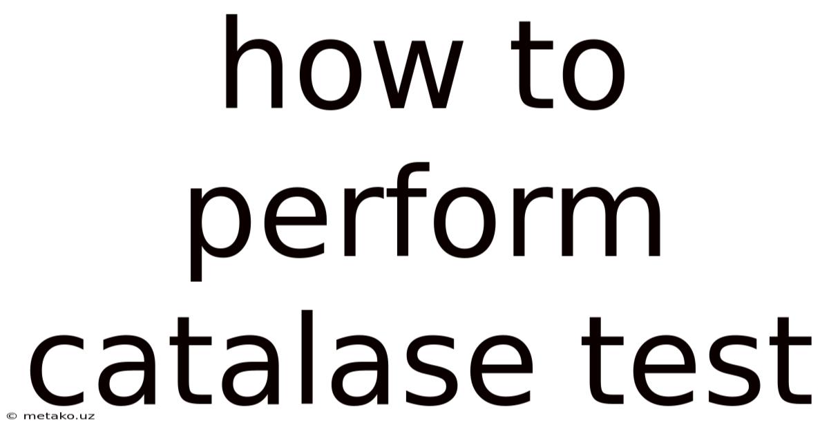 How To Perform Catalase Test