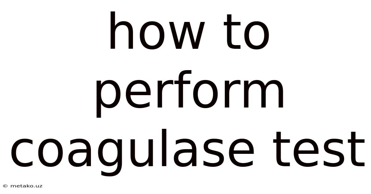 How To Perform Coagulase Test
