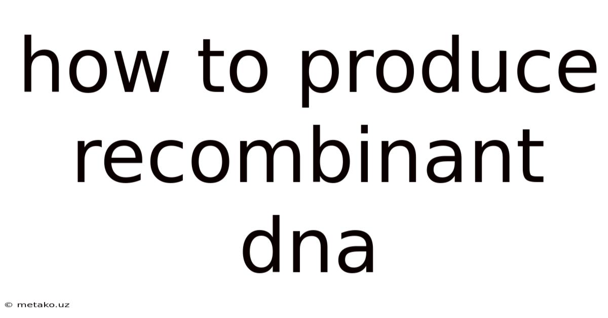 How To Produce Recombinant Dna
