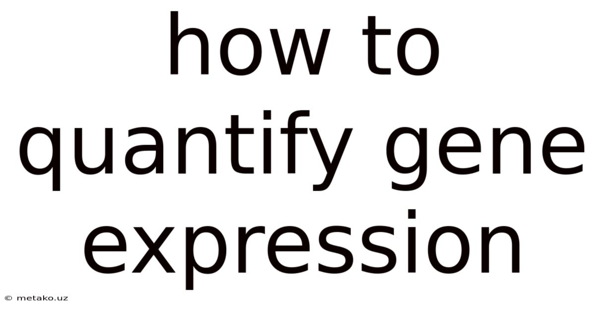How To Quantify Gene Expression