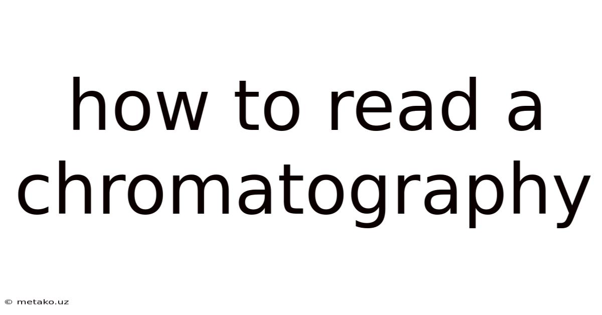 How To Read A Chromatography