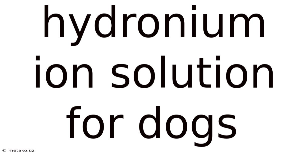 Hydronium Ion Solution For Dogs