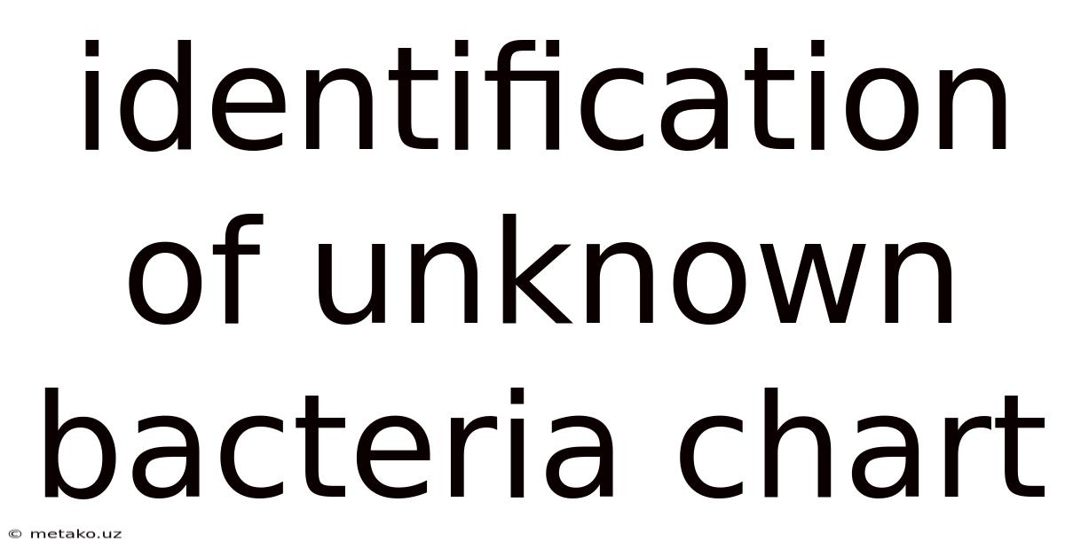 Identification Of Unknown Bacteria Chart