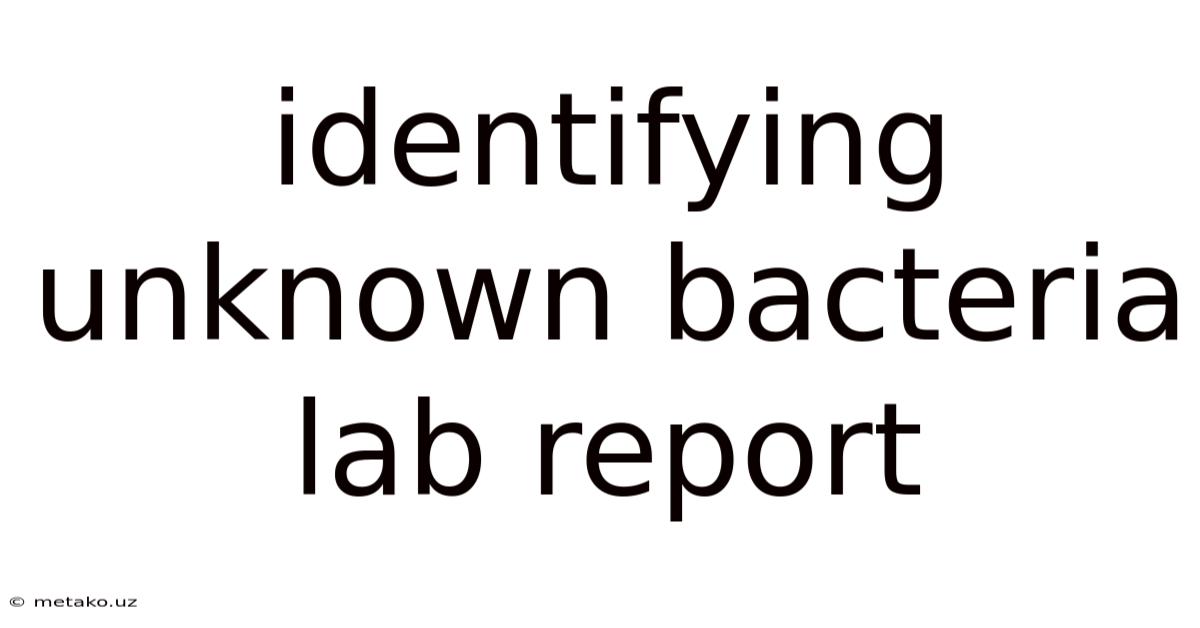 Identifying Unknown Bacteria Lab Report