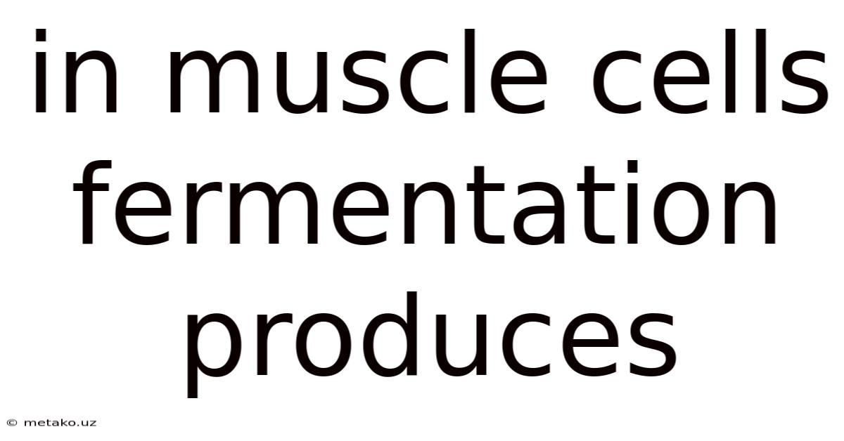 In Muscle Cells Fermentation Produces