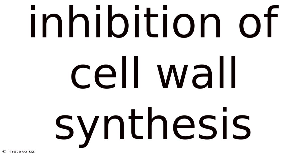 Inhibition Of Cell Wall Synthesis